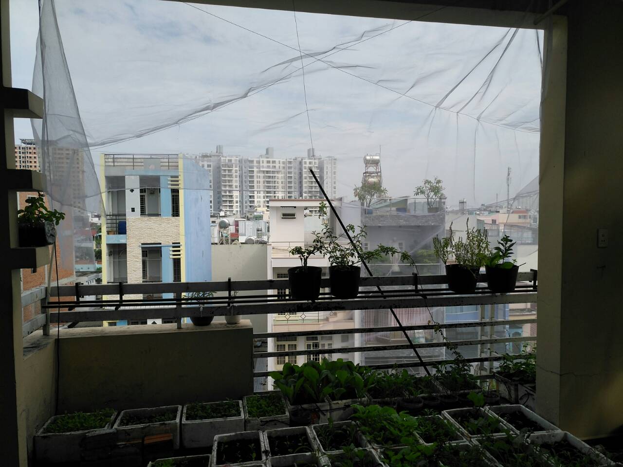 Bán Nhà mặt tiền Khuông Việt 5.83(7.3)x38 4lầu/ TN 80tr/tháng