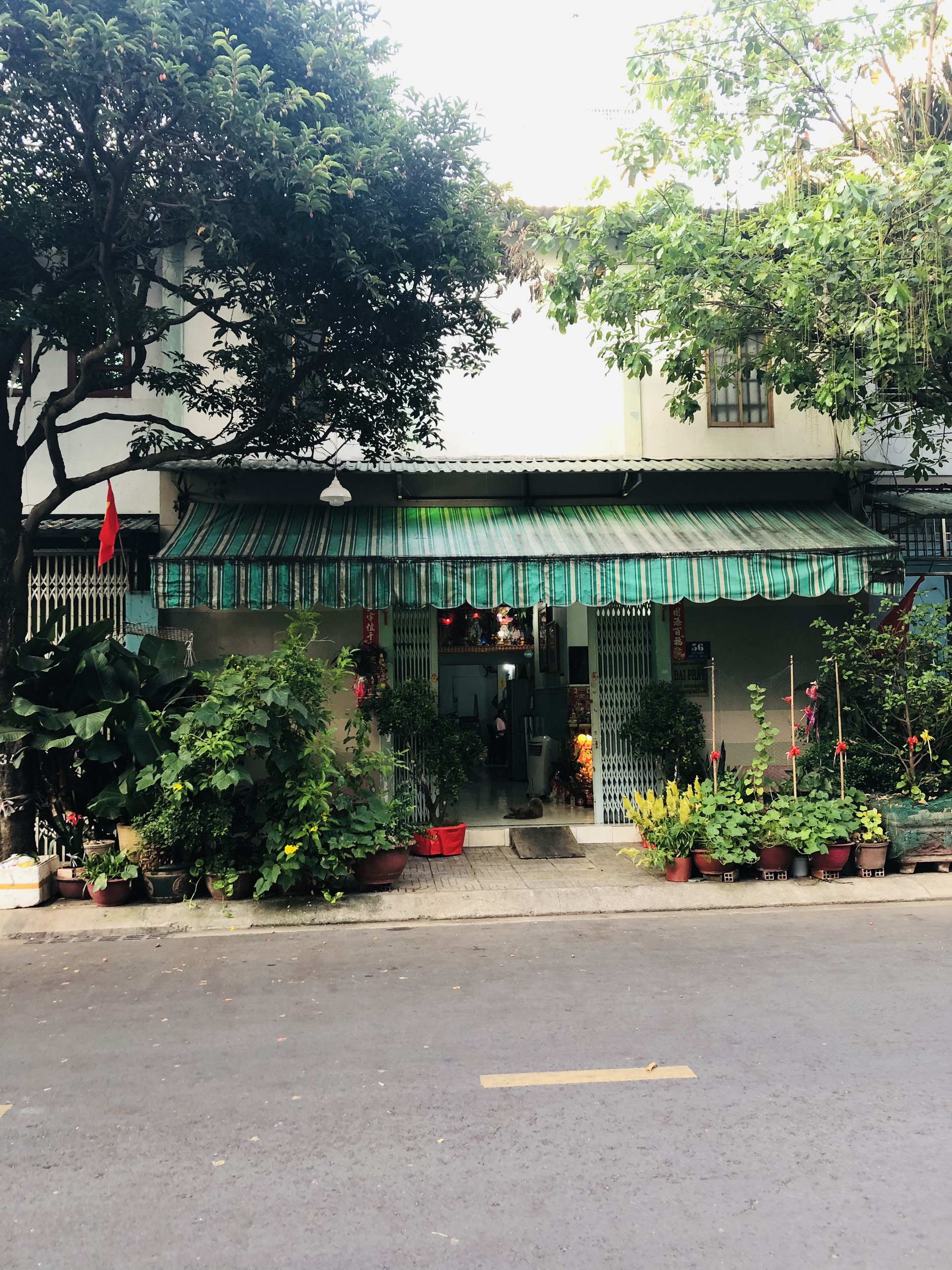 Bán Nhà mặt tiền Lê Sao 8x19m Cấp 4